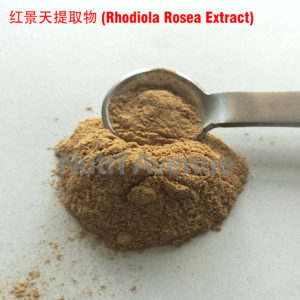 红景天提取物Rhodiola-Rosea-Extract