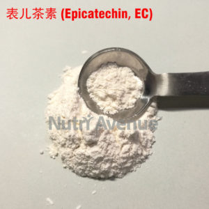 表儿茶素 (Epicatechin、EC)1